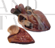 Anatomical heart - Somso