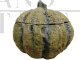 Majolica pumpkin from the 1700s