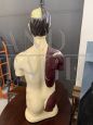 Busto anatomico di uomo vintage anni '60