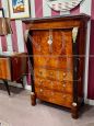 Secretaire Impero dell'800 in noce e piuma di noce                            