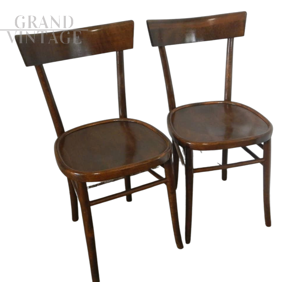 Coppia di sedie da bistrot in legno di faggio scuro, anni '50