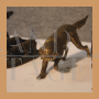 Statuette di cane in bronzo del XX secolo                            