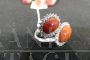 White gold ring with diamonds and double Sardinian coral