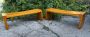 Pair of benches designed by Giuseppe Rivadossi, Italy 1970s