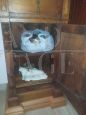 Pair of antique bedside tables from the late 19th century with gray marble top