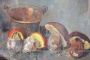 Amedeo Merello - Still life with mushrooms, Oil painting on panel from the 1960s