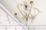 Antique Maria Theresa crystal chandelier