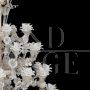 Rezzonico chandelier in crystal, white and bronze Murano glass