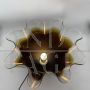 Brown Murano glass table lamp attributed to Vistosi, 1960