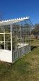 Wrought iron outdoor lemon greenhouse