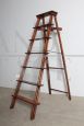 Antique library ladder from the 19th century