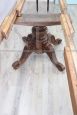 Antique table in solid walnut extendable up to 4 meters, mid-19th century