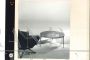 Round T61 coffee table by Osvaldo Borsani for Tecno, 1950s