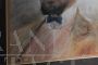 Pastel painting with portrait of a nobleman signed Michetti Francesco Paolo