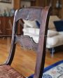 Pair of late 19th century chairs with velvet seat