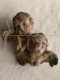 Antique cherubic angels in original state