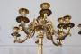 Pair of antique gilded bronze candelabra from the 19th century