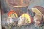 Amedeo Merello - Still life with mushrooms, Oil painting on panel from the 1960s