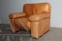 Vintage designer armchair in cognac brown leather, 1960s